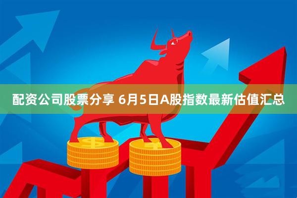 配资公司股票分享 6月5日A股指数最新估值汇总